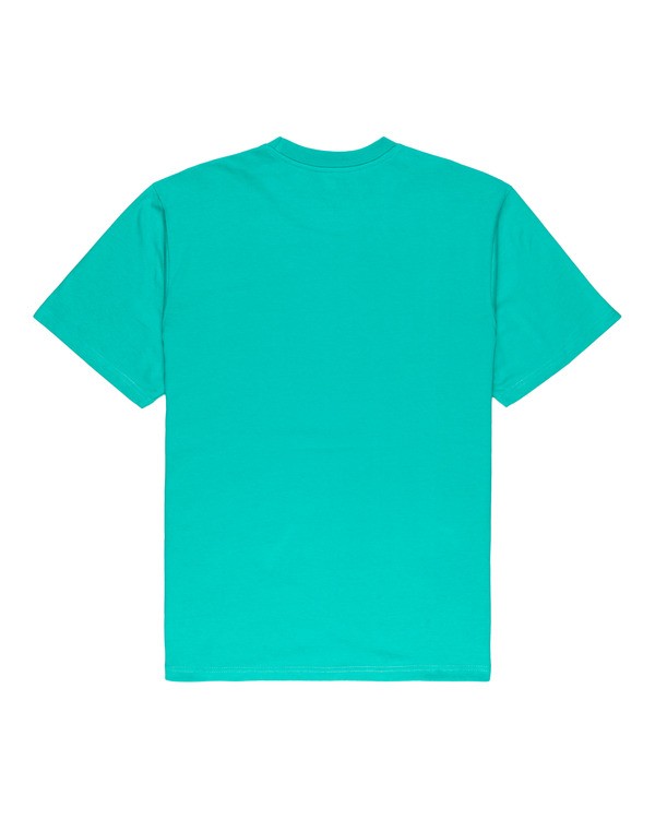 1 Prism Icon - T-shirt pour Homme  W1SSI4ELP1 Element