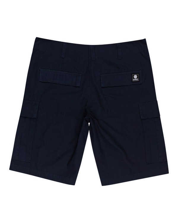 1 Legion 21" - Cargoshorts für Männer Grau W1WKC7ELP1 Element