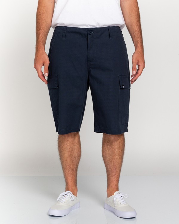 2 Legion 21" - Cargoshorts für Männer Grau W1WKC7ELP1 Element