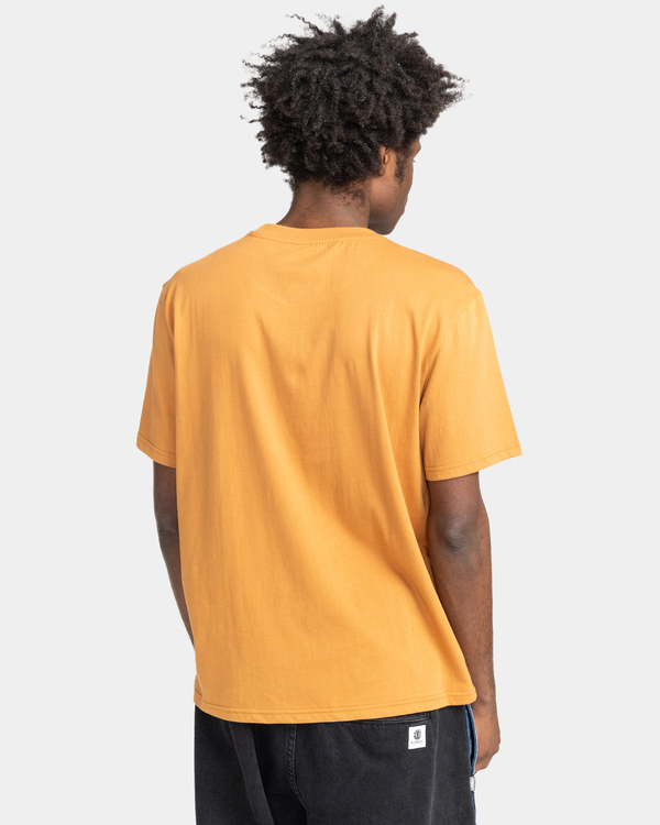 5 Vertical - T-shirt pour Homme Marron Z1SSI4ELF1 Element