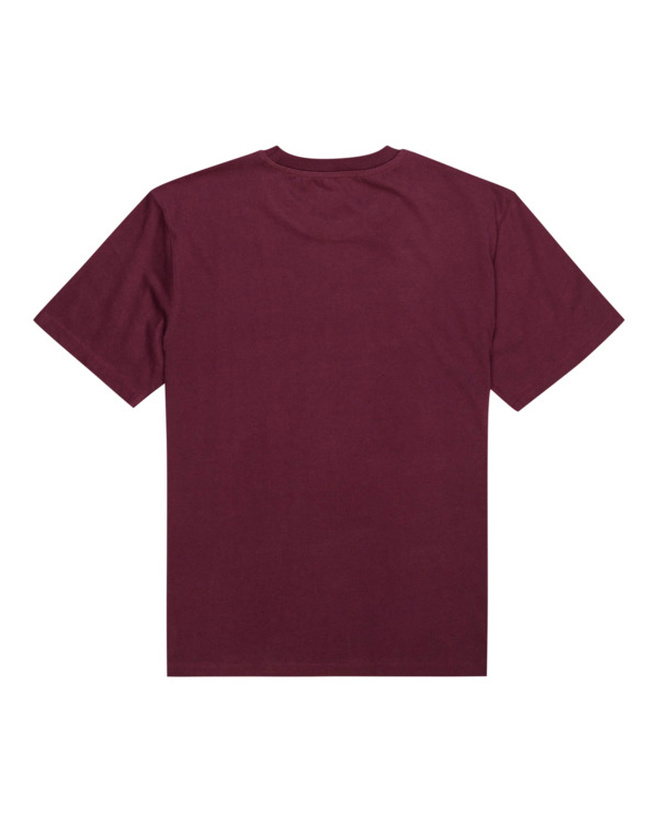 1 Blazin - T-shirt pour Homme Blanc Z1SSI5ELF1 Element