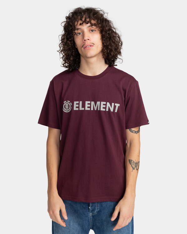 2 Blazin - T-shirt pour Homme Blanc Z1SSI5ELF1 Element
