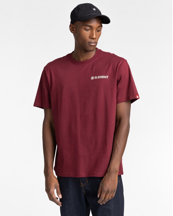 1 Blazin Chest - T-shirt pour Homme Rouge Z1SSI6ELF1 Element
