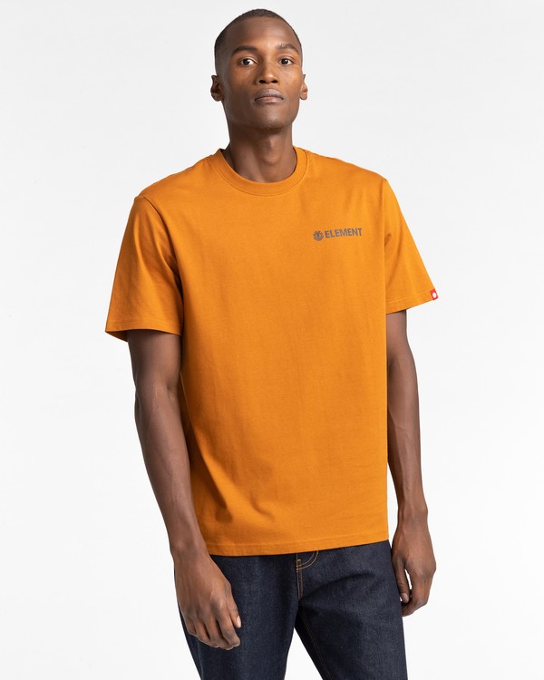 1 Blazin Chest - T-shirt pour Homme Marron Z1SSI6ELF1 Element