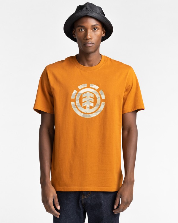 1 Landscape - T-shirt pour Homme Marron Z1SSJ5ELF1 Element
