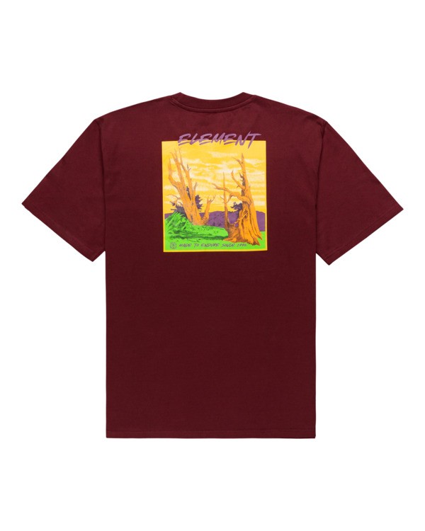 1 Ponderosa - T-Shirt für Männer  Z1SSN5ELF1 Element