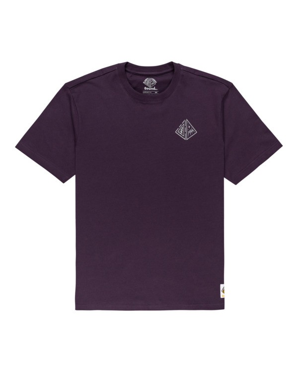 0 Acceptance - T-shirt pour Homme Violet Z1SSO9ELF1 Element