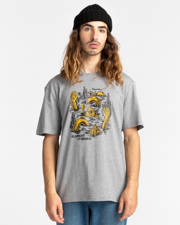 1 Cracks - T-Shirt for Men Grey Z1SSP1ELF1 Element