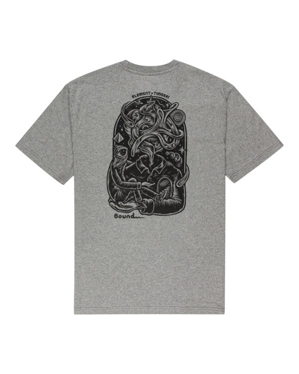 1 Reasoning - T-shirt pour Homme Gris Z1SSP3ELF1 Element