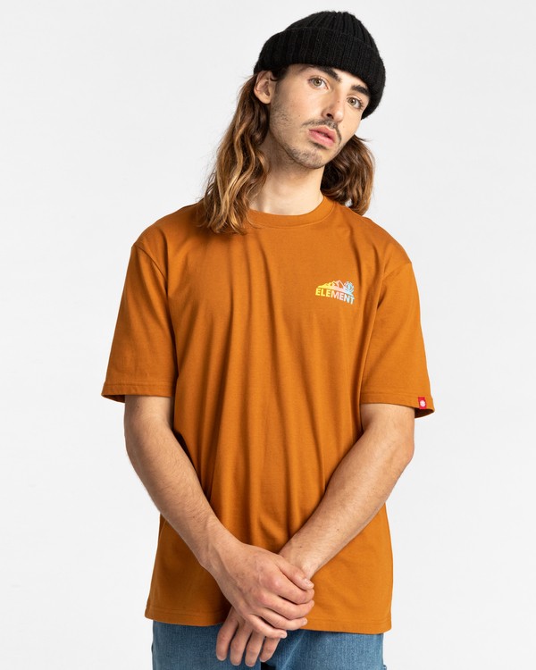 2 Malta - T-Shirt for Men Brown Z1SSQ1ELF1 Element