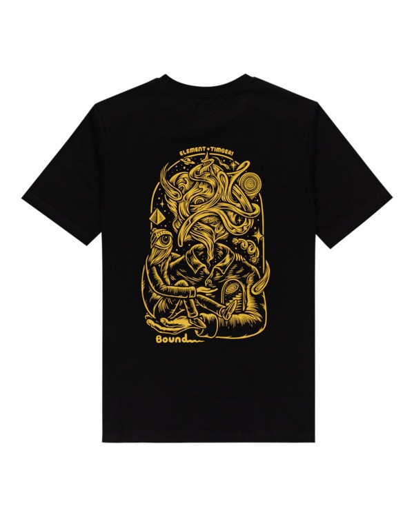 1 Reasoning - T-shirt pour Garçon Noir Z2SSC3ELF1 Element