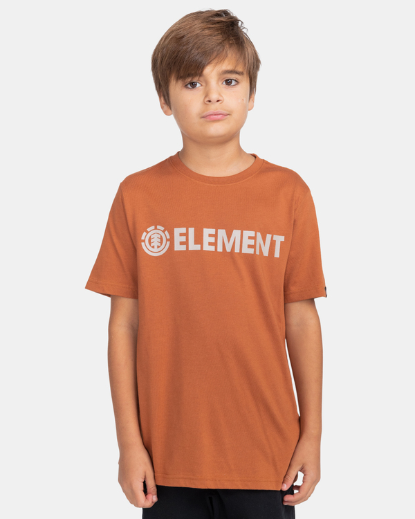 1 Blazin - T-Shirt for Boys Brown Z2SSC9ELF1 Element
