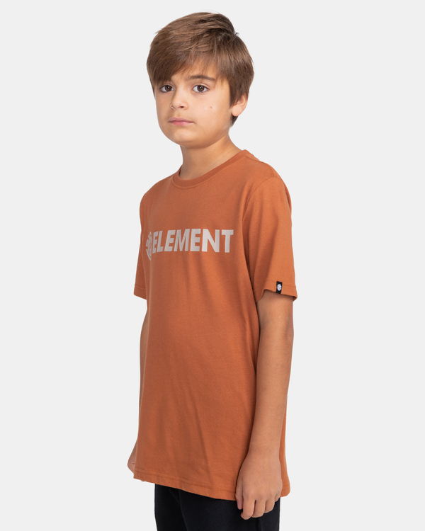 2 Blazin - T-Shirt for Boys Brown Z2SSC9ELF1 Element