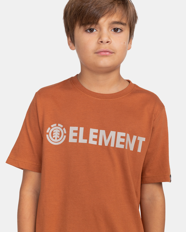 3 Blazin - T-Shirt for Boys Brown Z2SSC9ELF1 Element