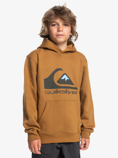 Big Logo - Pullover Hoodie for Boys 8-16  AQBFT03099