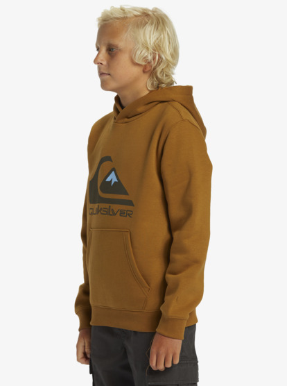 Big Logo - Pullover Hoodie for Boys 8-16  AQBFT03099