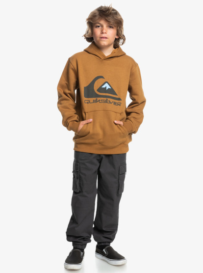 Big Logo - Pullover Hoodie for Boys 8-16  AQBFT03099