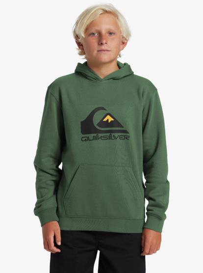 Big Logo - Pullover Hoodie for Boys 8-16  AQBFT03099