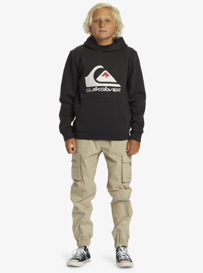 Big Logo - Pullover Hoodie for Boys 8-16  AQBFT03099