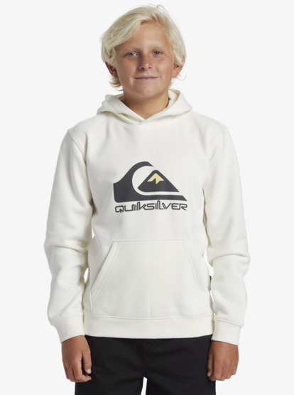 Big Logo - Pullover Hoodie for Boys 8-16  AQBFT03099