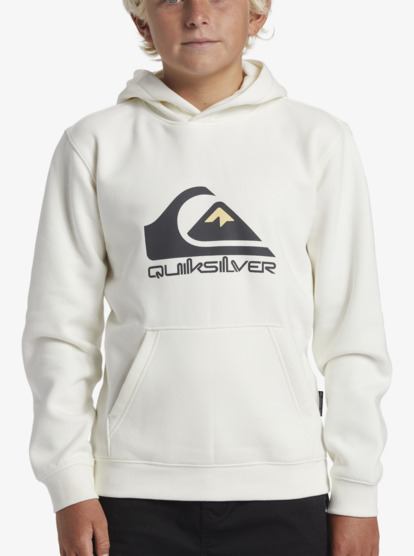 Big Logo - Pullover Hoodie for Boys 8-16  AQBFT03099