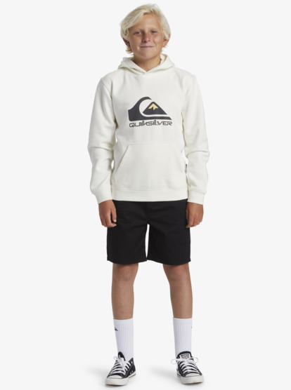 Big Logo - Pullover Hoodie for Boys 8-16  AQBFT03099