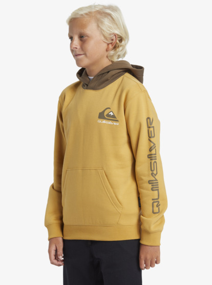 Logo - Pullover Hoodie for Boys 8 - 16  AQBFT03108