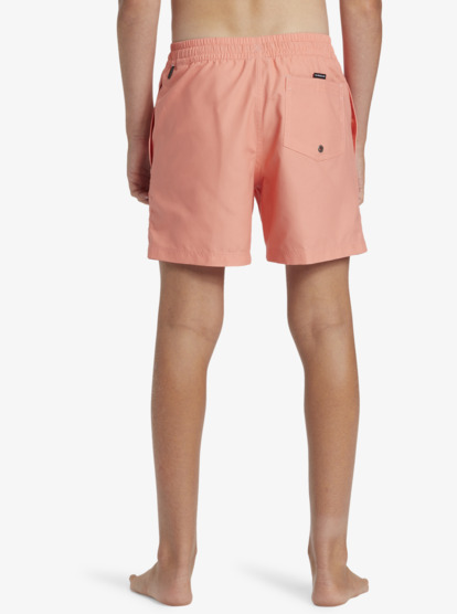 Everyday Solid Volley - Swim Shorts for Boys 8-16  AQBJV03054