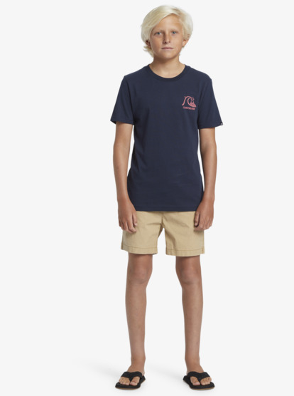 Taxer - Walk Shorts for Boys 8-16  AQBWS03077