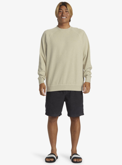 Raglans - Pullover Sweatshirt for Men  AQYFT03355