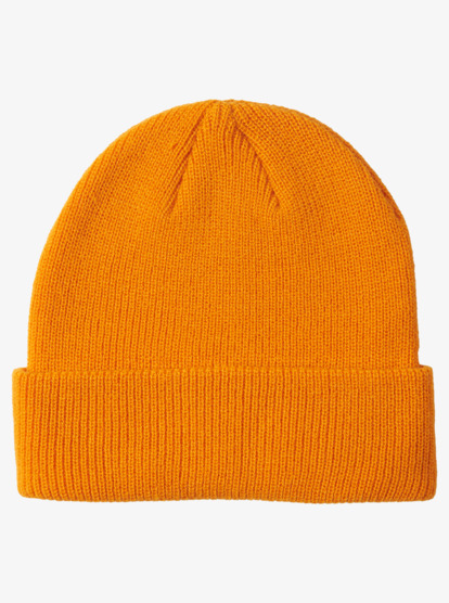 Performer - Beanie for Men  AQYHA04782