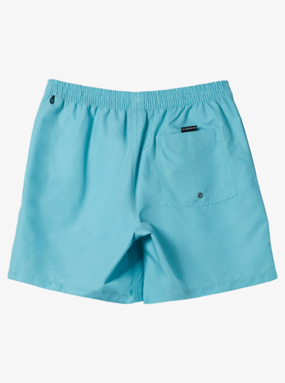 Everyday Vert Volley 16" - Swim Shorts for Men  AQYJV03139