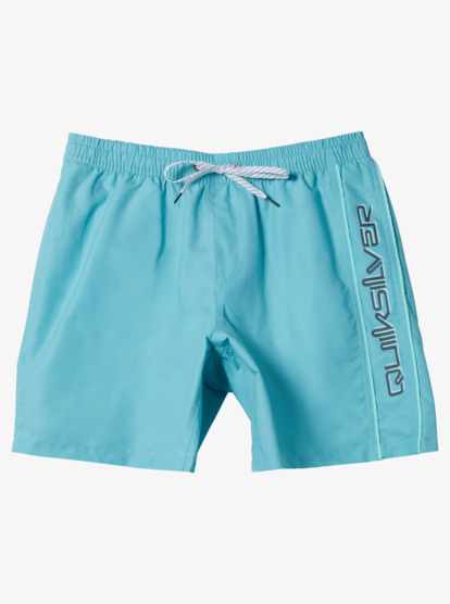 Everyday Vert Volley 16" - Swim Shorts for Men  AQYJV03139