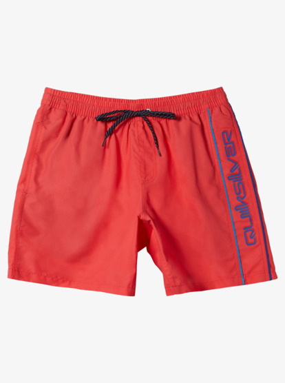 Everyday Vert Volley 16" - Swim Shorts for Men  AQYJV03139