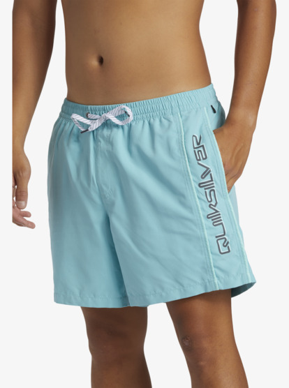 Everyday Vert Volley 16" - Swim Shorts for Men  AQYJV03139