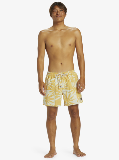 Everyday Mix Volley 15" - Swim Shorts for Men  AQYJV03147