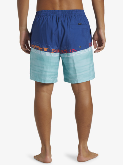 Everyday Wordblock Volley 17" - Swim Shorts for Men  AQYJV03150