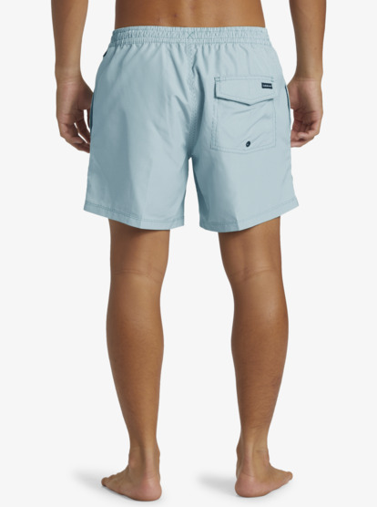 Everyday Deluxe Volley 15" - Swim Shorts for Men  AQYJV03152