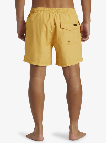 Everyday Deluxe Volley 15" - Swim Shorts for Men  AQYJV03152