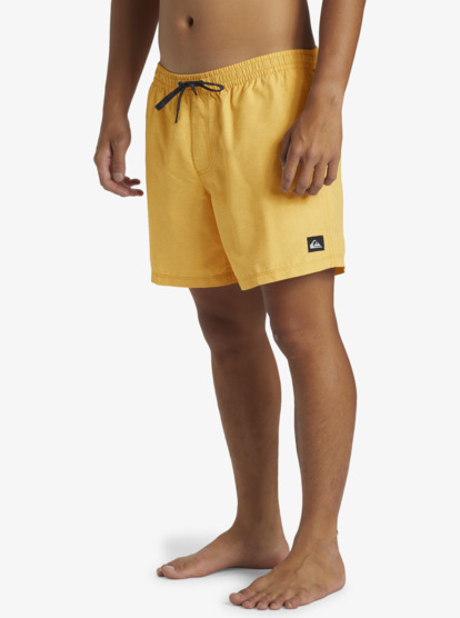 Everyday Deluxe Volley 15" - Swim Shorts for Men  AQYJV03152