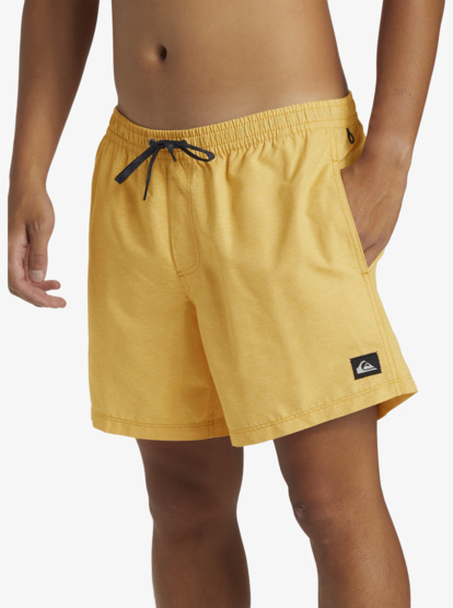 Everyday Deluxe Volley 15" - Swim Shorts for Men  AQYJV03152