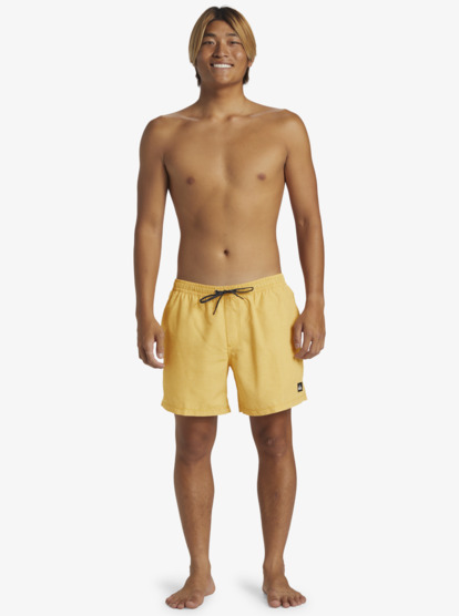 Everyday Deluxe Volley 15" - Swim Shorts for Men  AQYJV03152