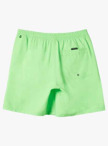 Everyday Solid Volley 15" - Swim Shorts for Men  AQYJV03153