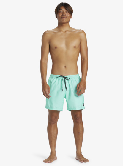 Everyday Solid Volley 15" - Swim Shorts for Men  AQYJV03153