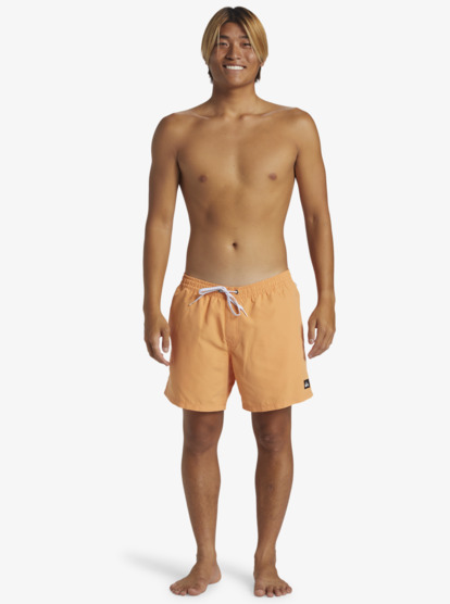 Everyday Solid Volley 15" - Swim Shorts for Men  AQYJV03153