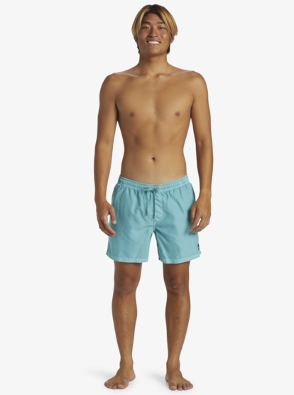 Everyday Surfwash Volley 15" - Swim Shorts for Men  AQYJV03158