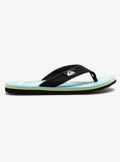 Molokai Layback - Flip-Flops for Men  AQYL101241