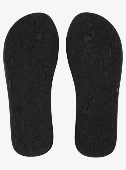Molokai Panel - Flip-Flops for Men  AQYL101263