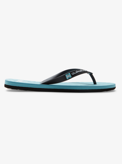 Molokai Art - Beach Flip-Flops for Men  AQYL101360