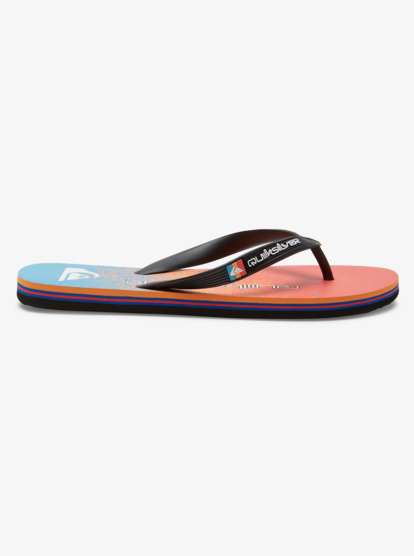 Molokai Art - Beach Flip-Flops for Men  AQYL101360